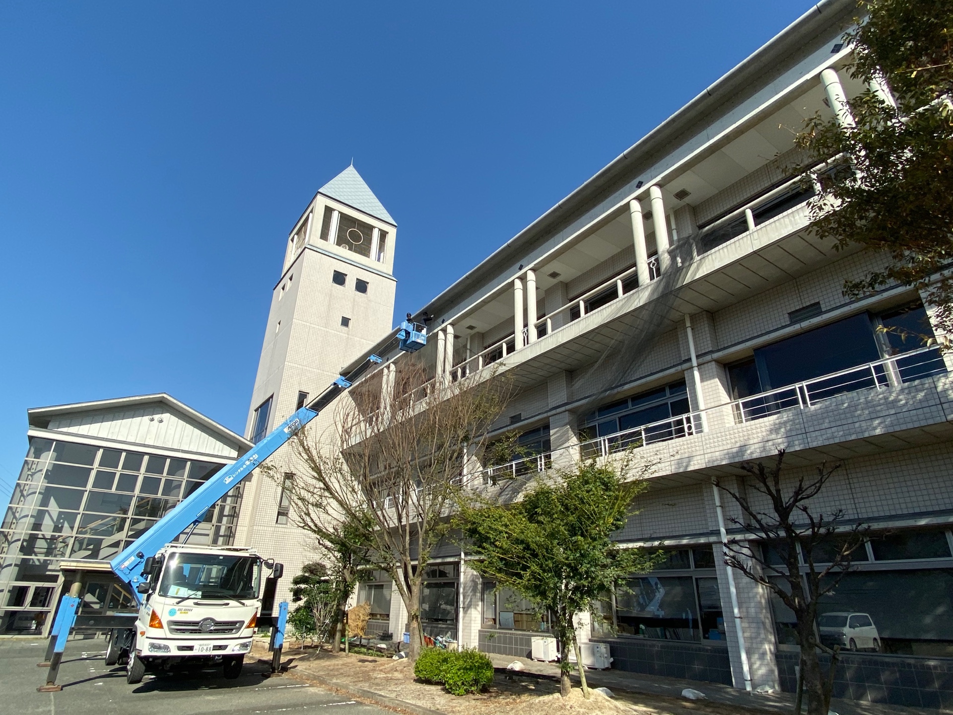 うきは市役所コウモリ対策